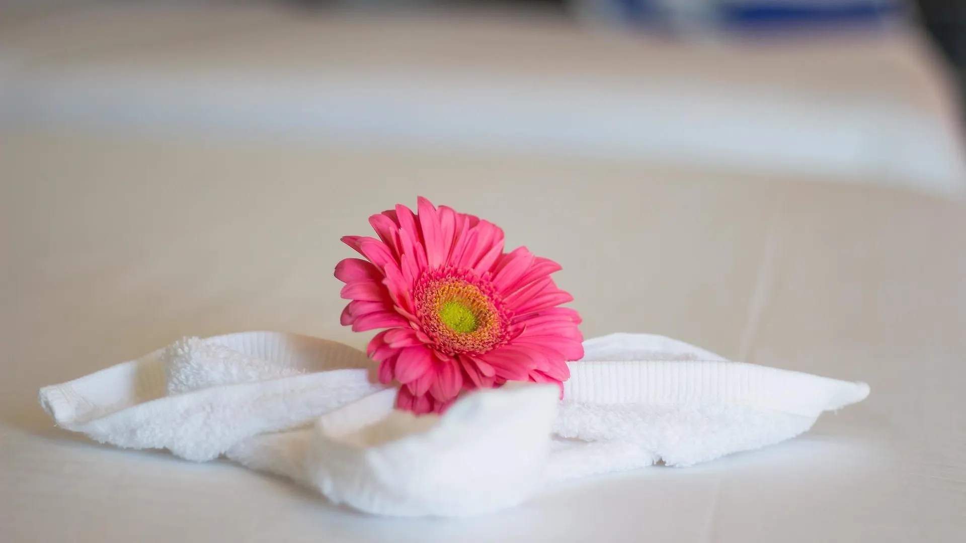 ***  Sunrise 42 Suites Hotel Playa del Carmen Messico